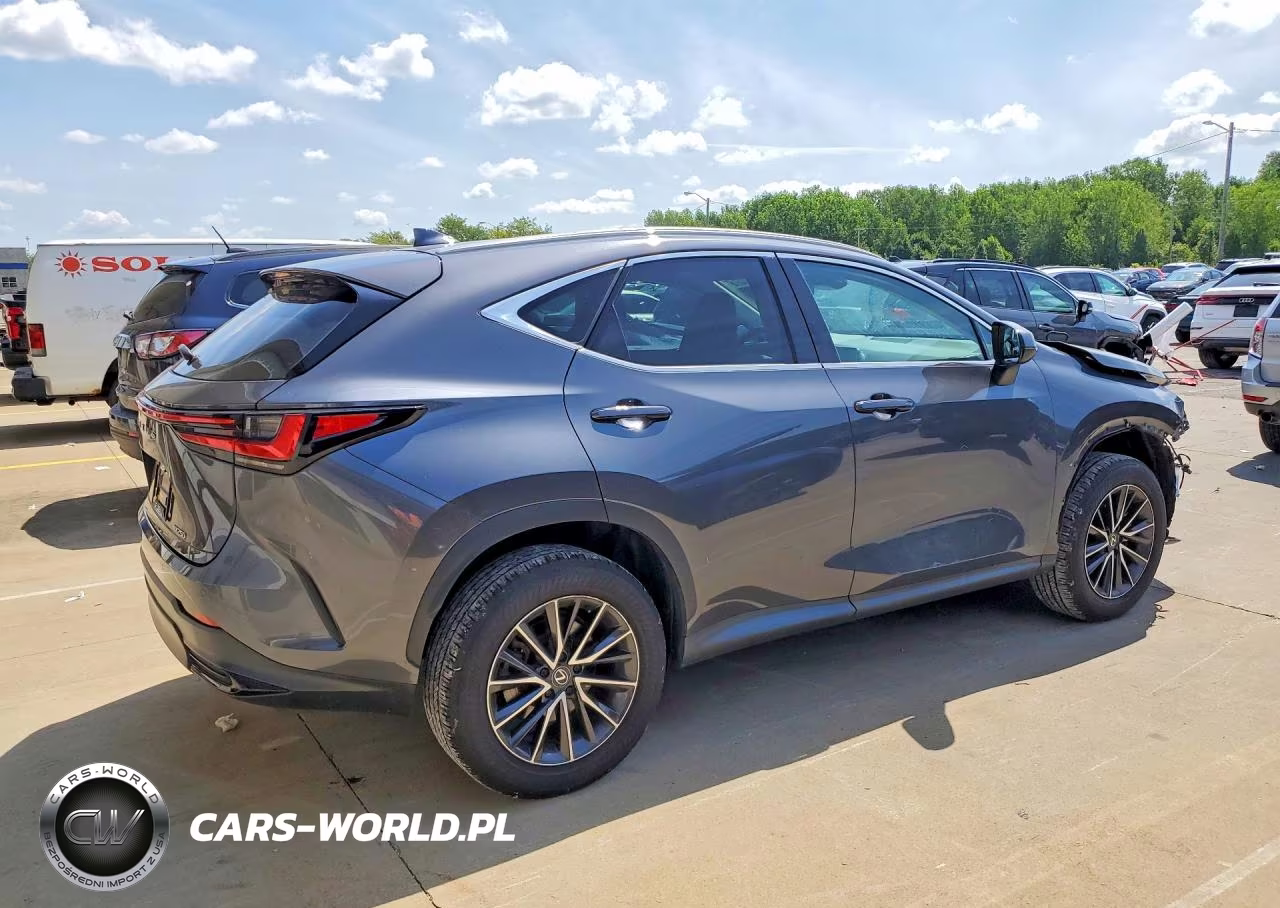 2024 Lexus Nx 250 Premium VIN:2T2GDCAZ6RC013481 - 3