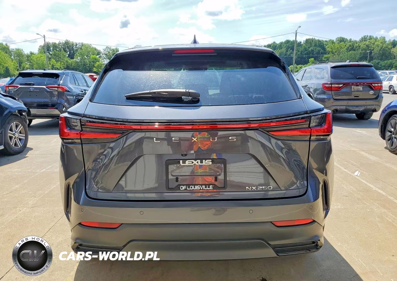 2024 Lexus Nx 250 Premium VIN:2T2GDCAZ6RC013481 - 6