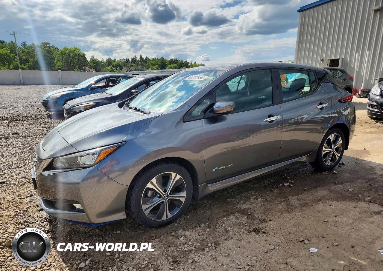 2019 Nissan Leaf Sv Plus
