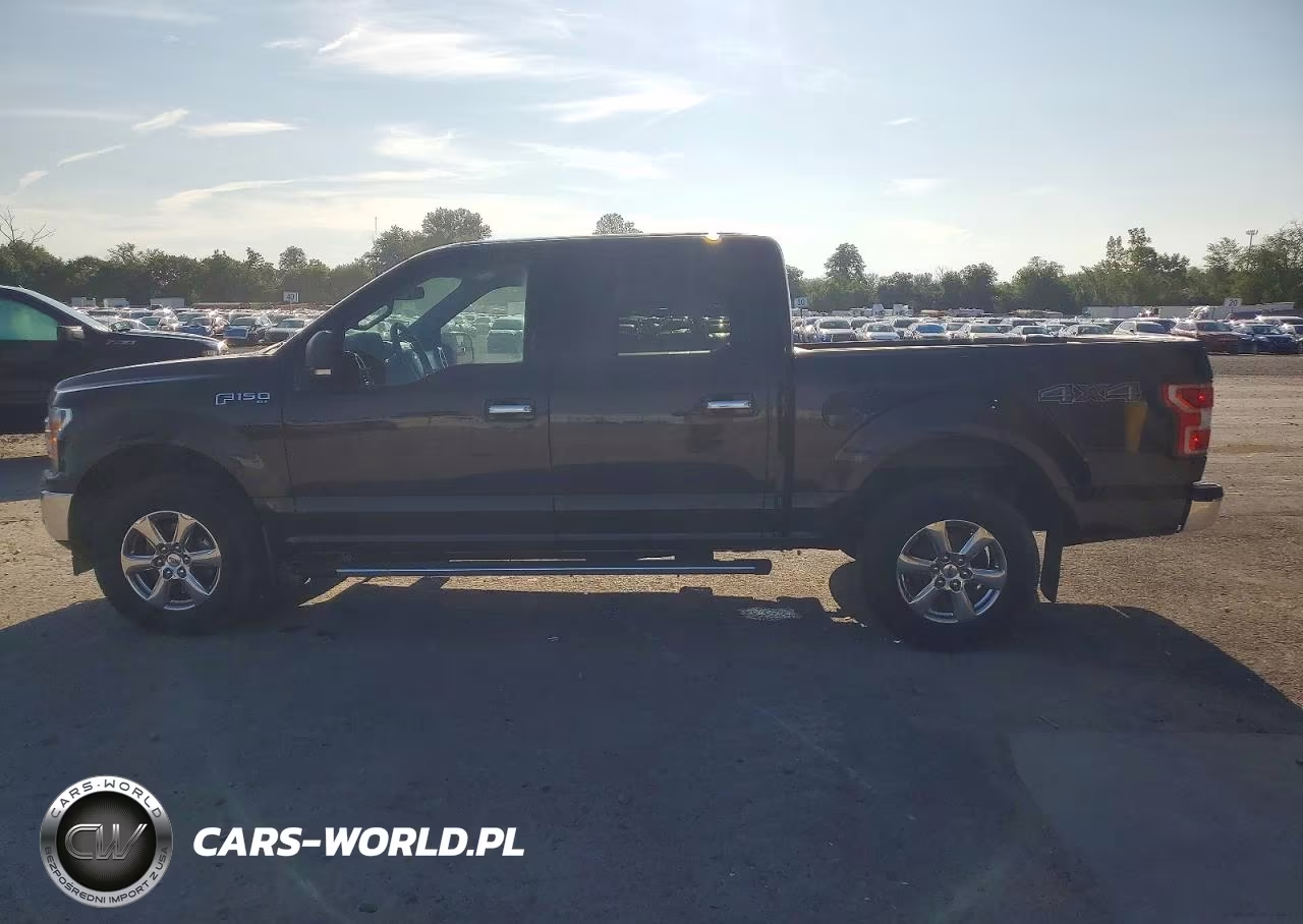 2019 Ford F150 Supercrew VIN:1FTEW1E55KFA03457 - 12