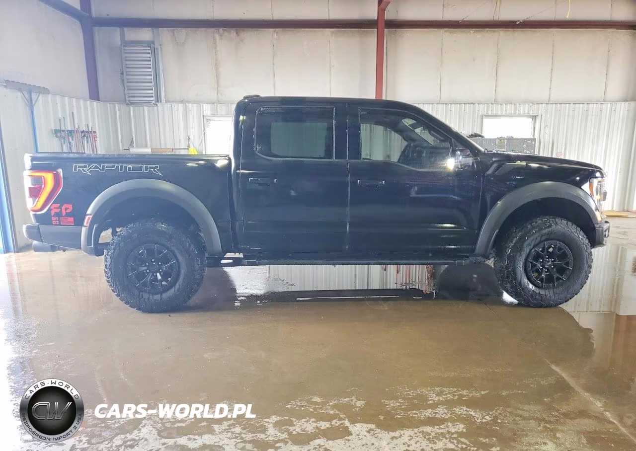 2023 Ford F150 Raptor VIN:1FTFW1RG0PFB42466 - 12