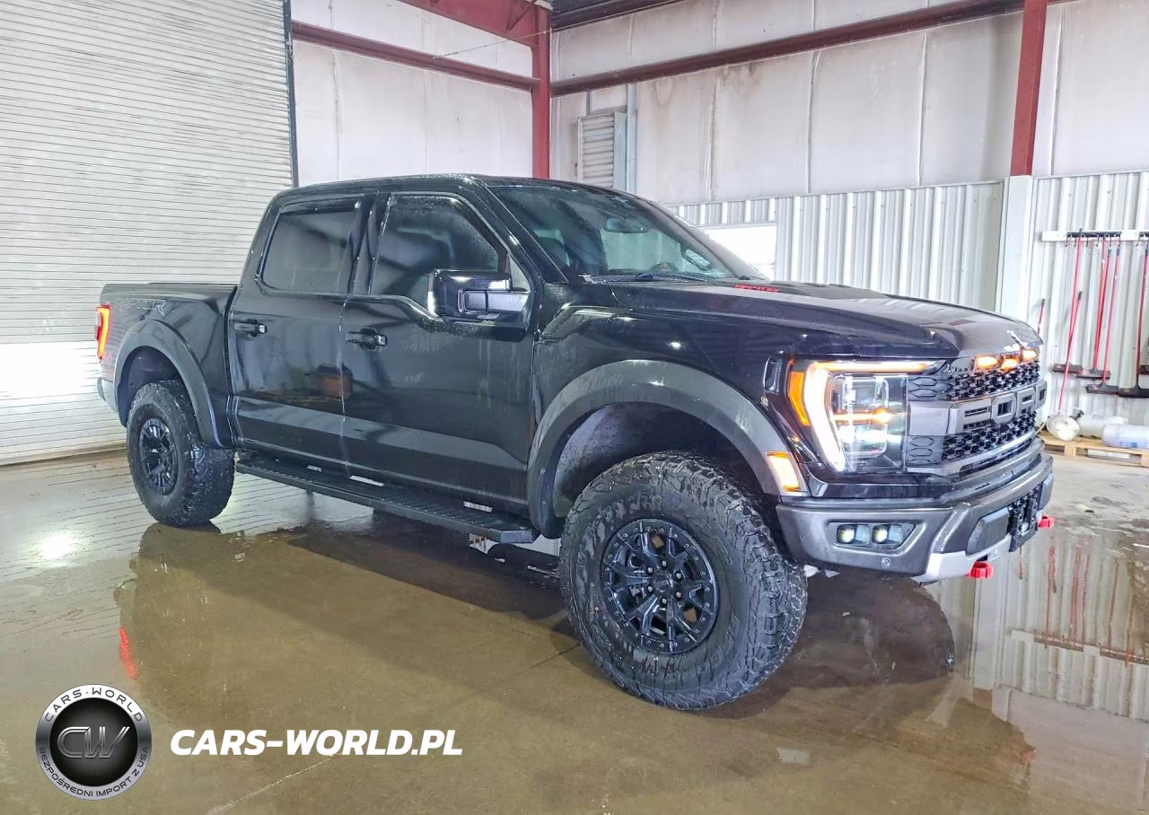 2023 Ford F150 Raptor VIN:1FTFW1RG0PFB42466 - 4