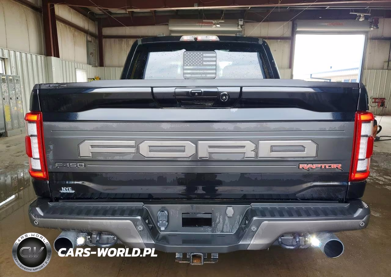 2023 Ford F150 Raptor VIN:1FTFW1RG0PFB42466 - 6
