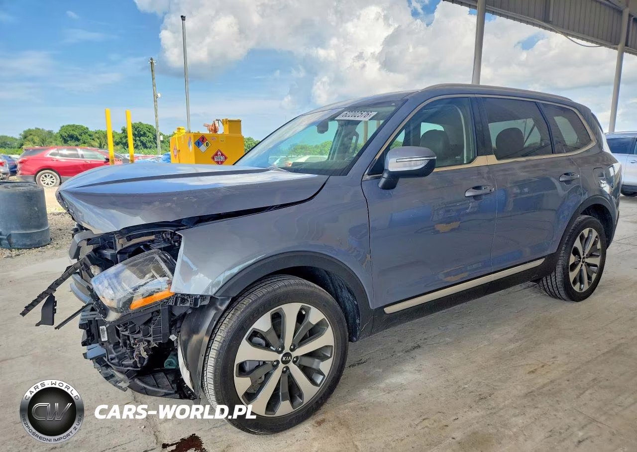 2020 Kia Telluride Ex VIN:5XYP3DHC2LG055205 - 1