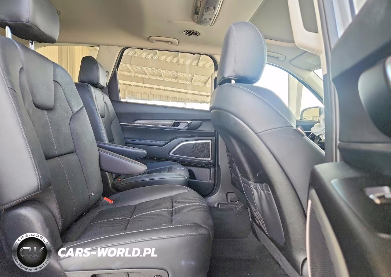 2020 Kia Telluride Ex VIN:5XYP3DHC2LG055205 - 11