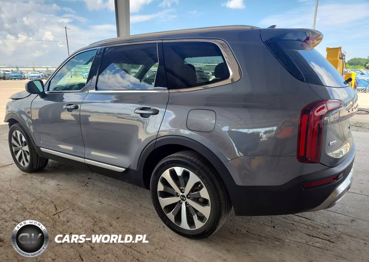 2020 Kia Telluride Ex VIN:5XYP3DHC2LG055205 - 2