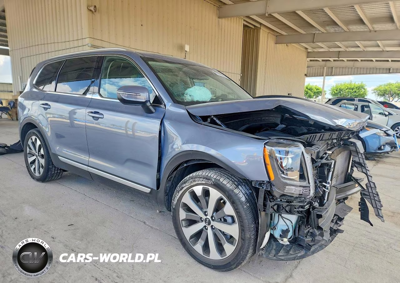 2020 Kia Telluride Ex VIN:5XYP3DHC2LG055205 - 4