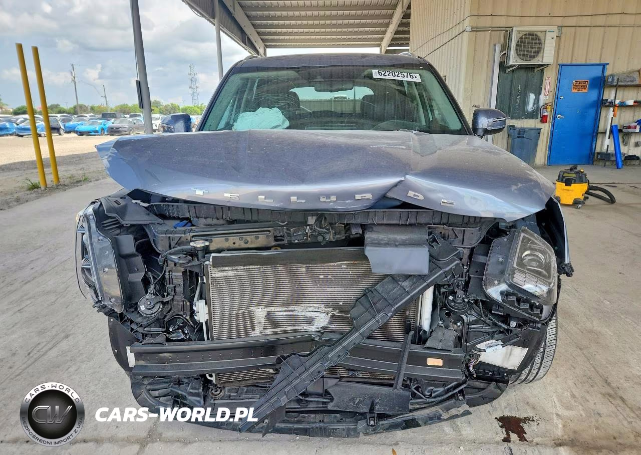 2020 Kia Telluride Ex VIN:5XYP3DHC2LG055205 - 5