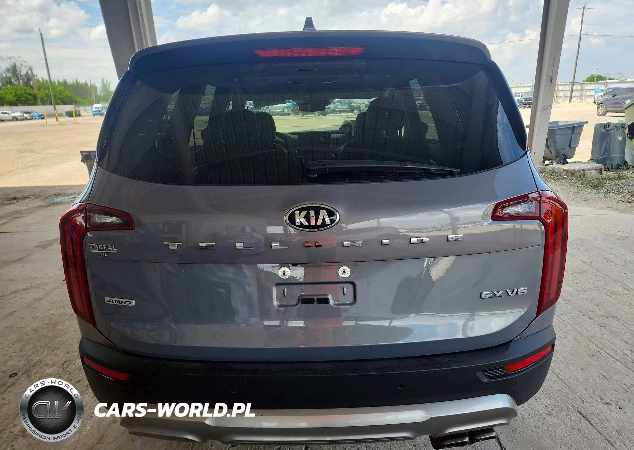 2020 Kia Telluride Ex VIN:5XYP3DHC2LG055205 - 6