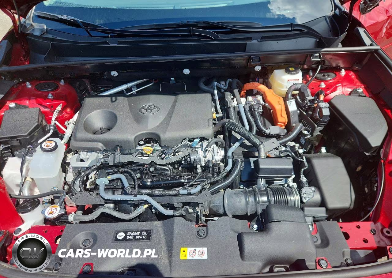 2025 Toyota Rav4 Hybrid Xle VIN:2T3RWRFV9SW294896 - 12