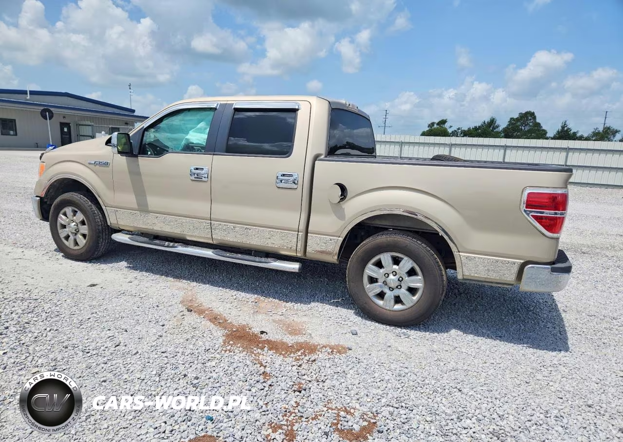 2010 Ford F150 Supercrew VIN:1FTEW1C81AFB37099 - 2
