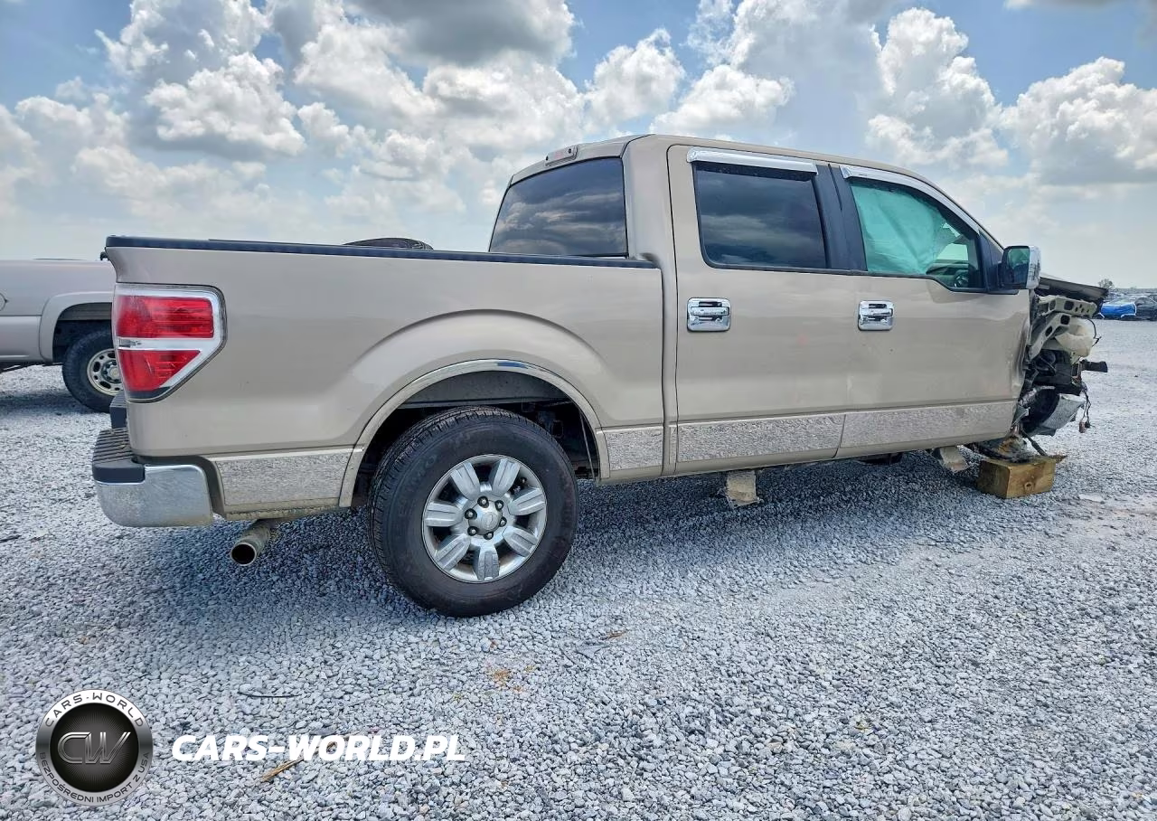 2010 Ford F150 Supercrew VIN:1FTEW1C81AFB37099 - 3