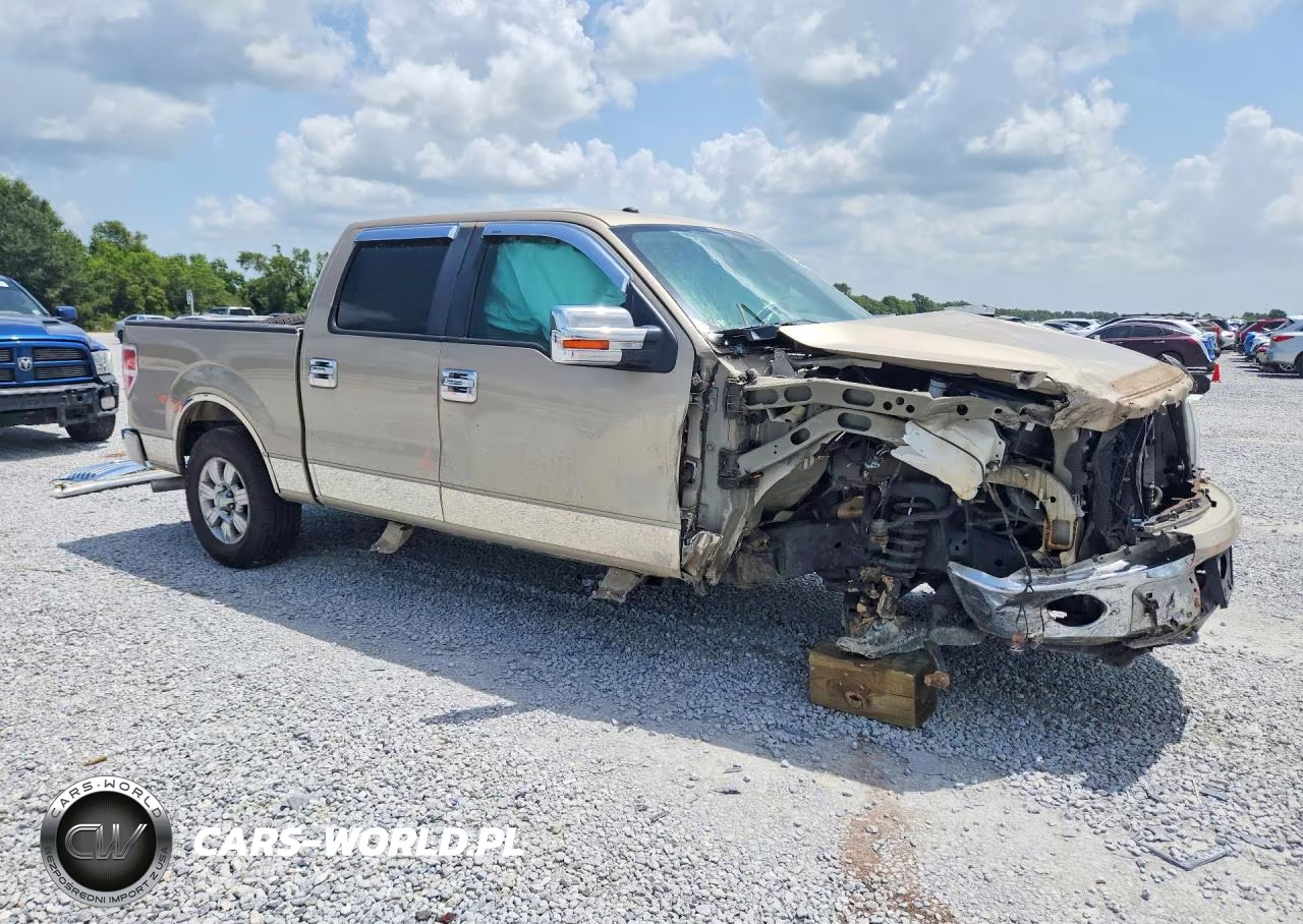 2010 Ford F150 Supercrew VIN:1FTEW1C81AFB37099 - 4