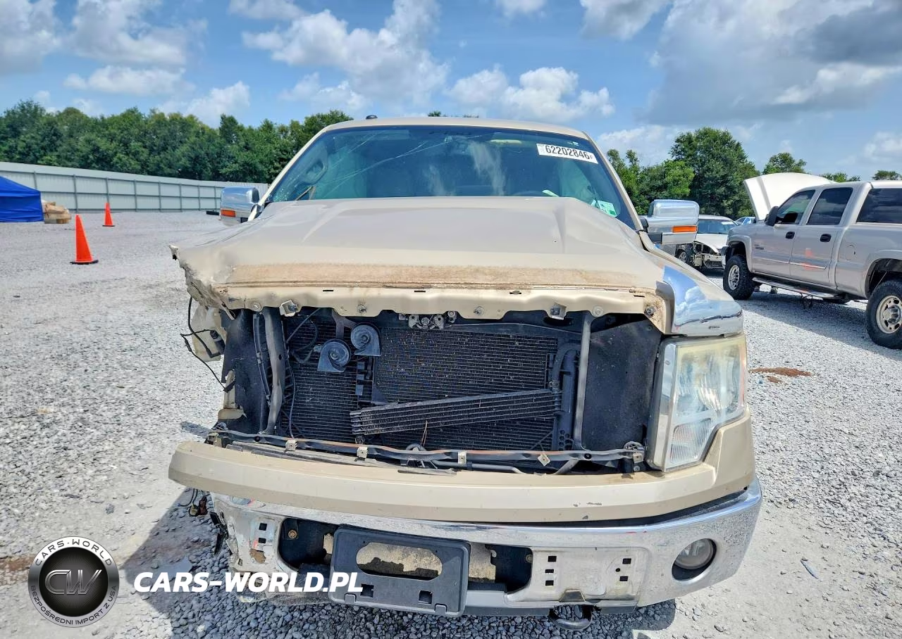 2010 Ford F150 Supercrew VIN:1FTEW1C81AFB37099 - 5