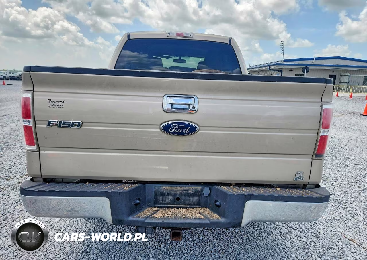 2010 Ford F150 Supercrew VIN:1FTEW1C81AFB37099 - 6
