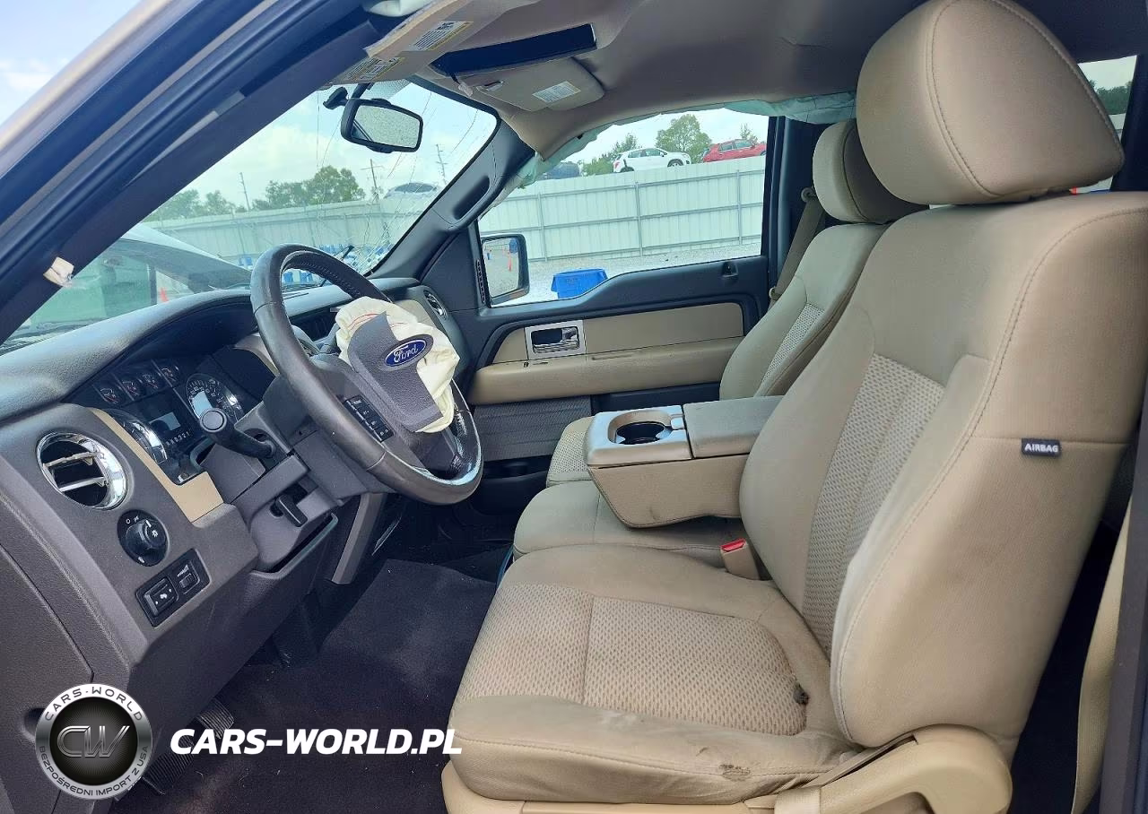 2010 Ford F150 Supercrew VIN:1FTEW1C81AFB37099 - 7