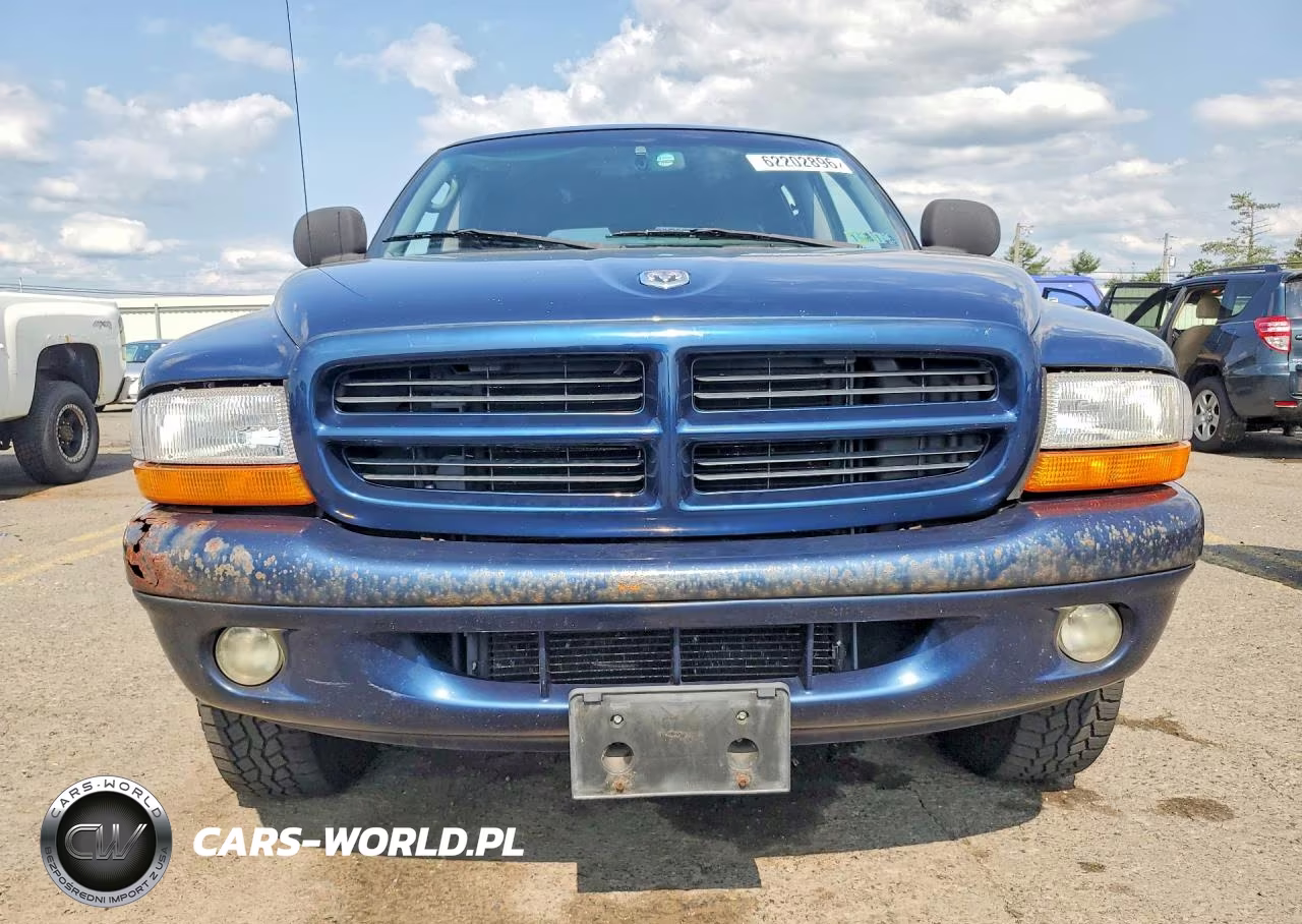 1999 Dodge Durango VIN:1B4HS28Z6XF670815 - 5