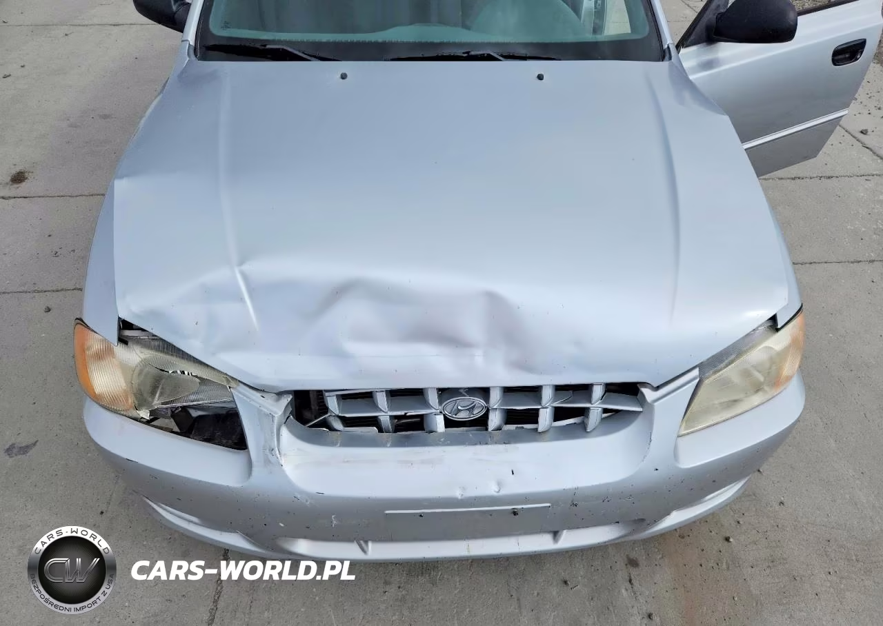 2002 Hyundai Accent Gl VIN:KMHCG45C92U336739 - 11