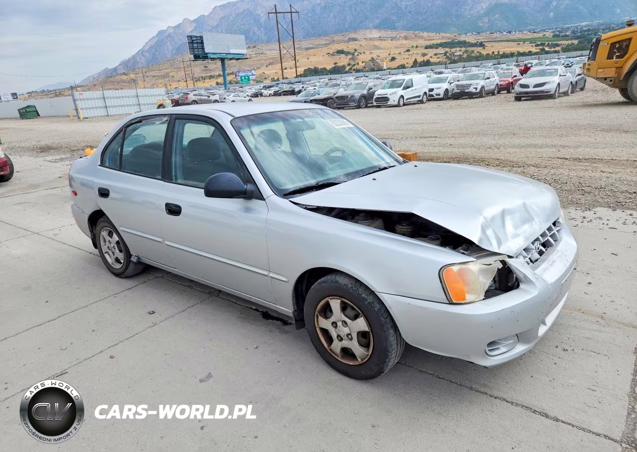 2002 Hyundai Accent Gl VIN:KMHCG45C92U336739 - 4
