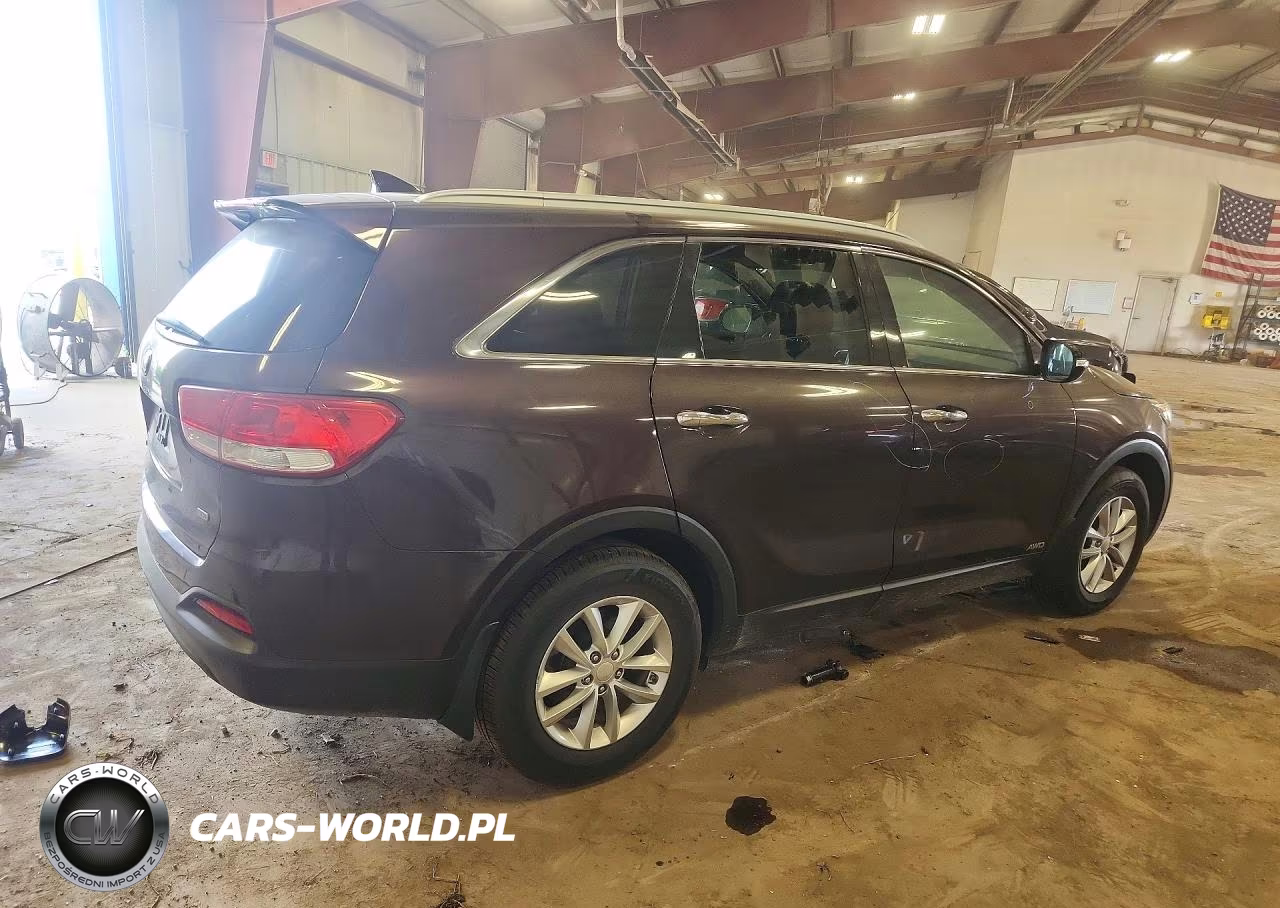 2016 Kia Sorento Lx VIN:5XYPGDA38GG058484 - 3
