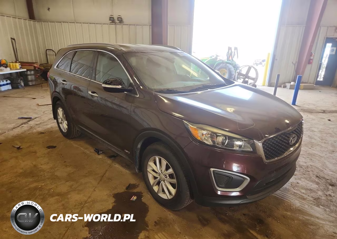 2016 Kia Sorento Lx VIN:5XYPGDA38GG058484 - 4