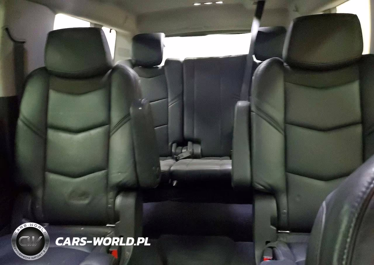 2019 Cadillac Escalade Esv Luxury VIN:1GYS4HKJXKR275689 - 10