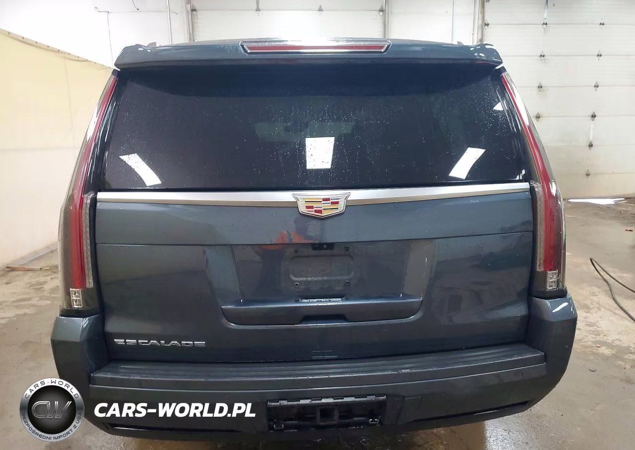 2019 Cadillac Escalade Esv Luxury VIN:1GYS4HKJXKR275689 - 6