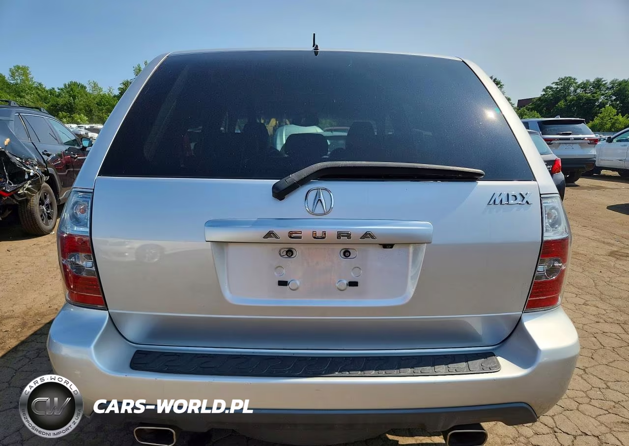 2006 Acura Mdx Touring VIN:2HNYD188X6H549176 - 6