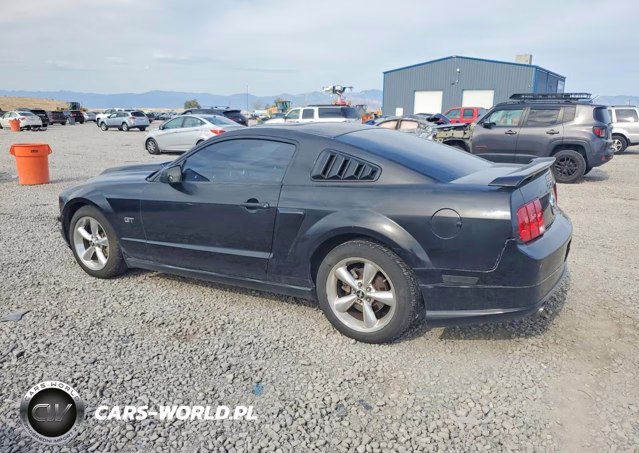 2006 Ford Mustang Gt VIN:1ZVHT82H165257785 - 2