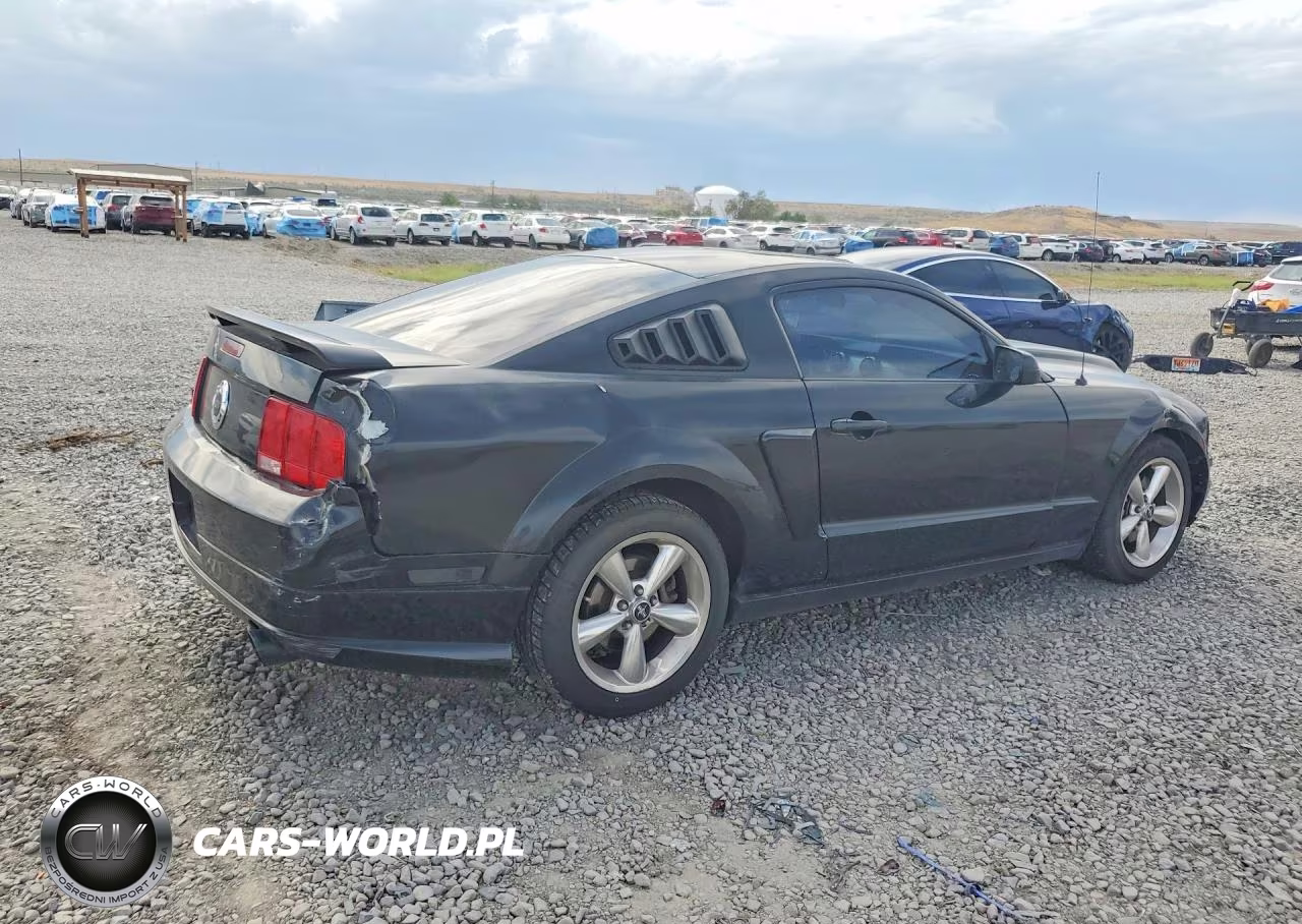 2006 Ford Mustang Gt VIN:1ZVHT82H165257785 - 3