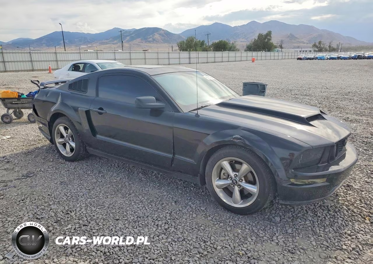 2006 Ford Mustang Gt VIN:1ZVHT82H165257785 - 4