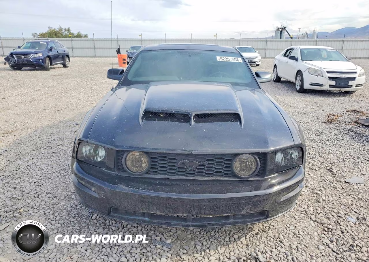 2006 Ford Mustang Gt VIN:1ZVHT82H165257785 - 5