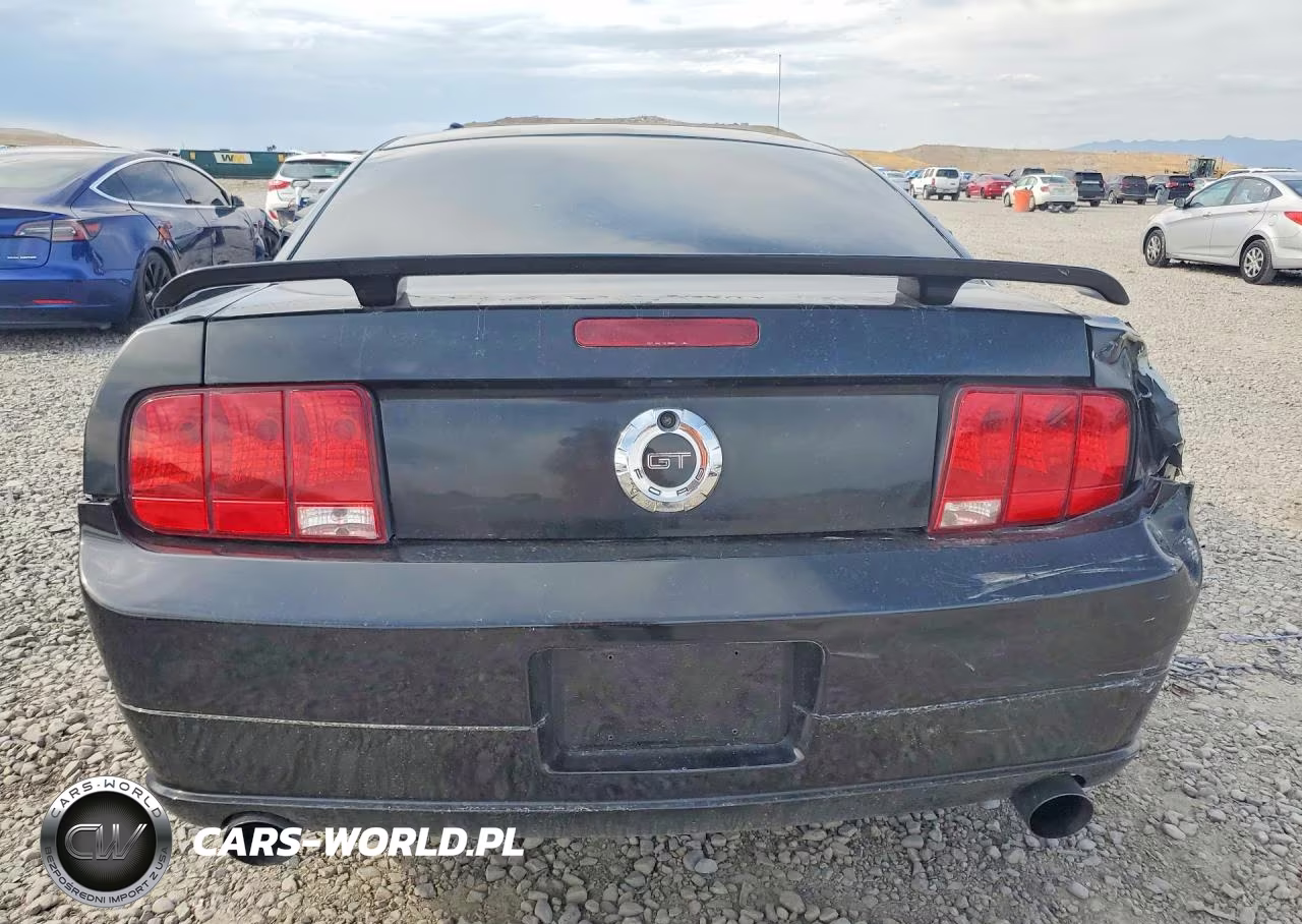 2006 Ford Mustang Gt VIN:1ZVHT82H165257785 - 6