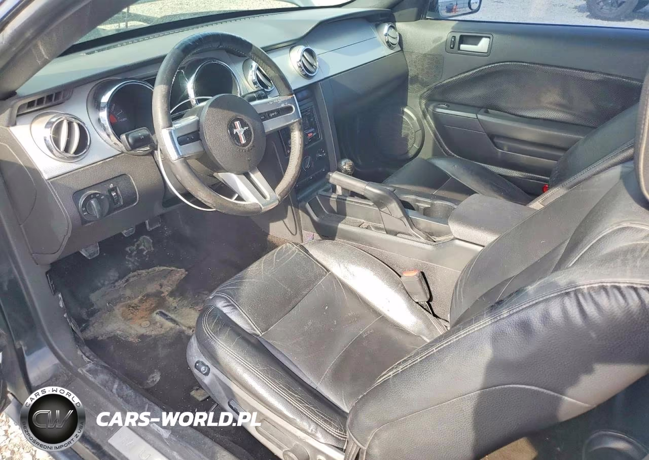 2006 Ford Mustang Gt VIN:1ZVHT82H165257785 - 8