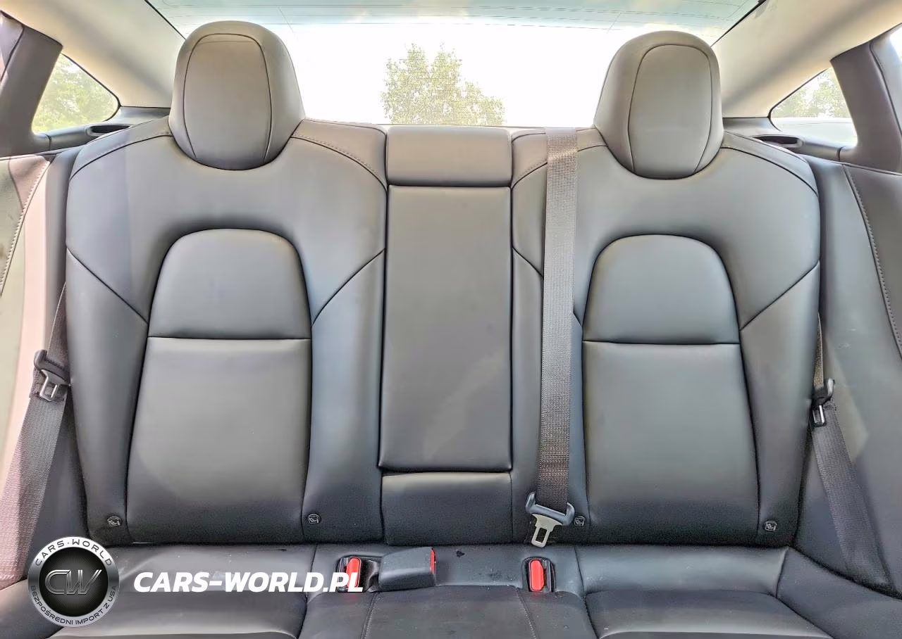 2021 Tesla Model 3 VIN:5YJ3E1EB2MF049593 - 10