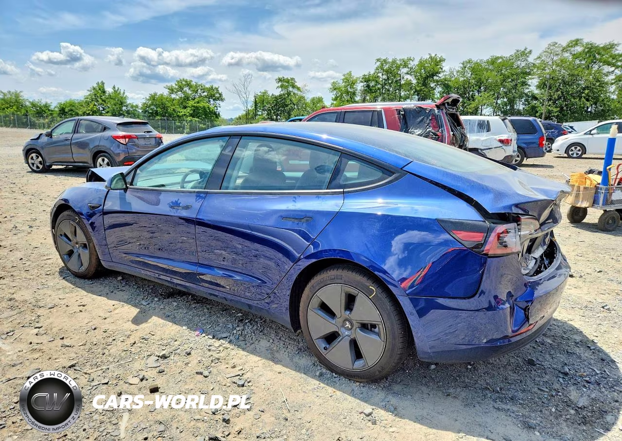 2021 Tesla Model 3 VIN:5YJ3E1EB2MF049593 - 2