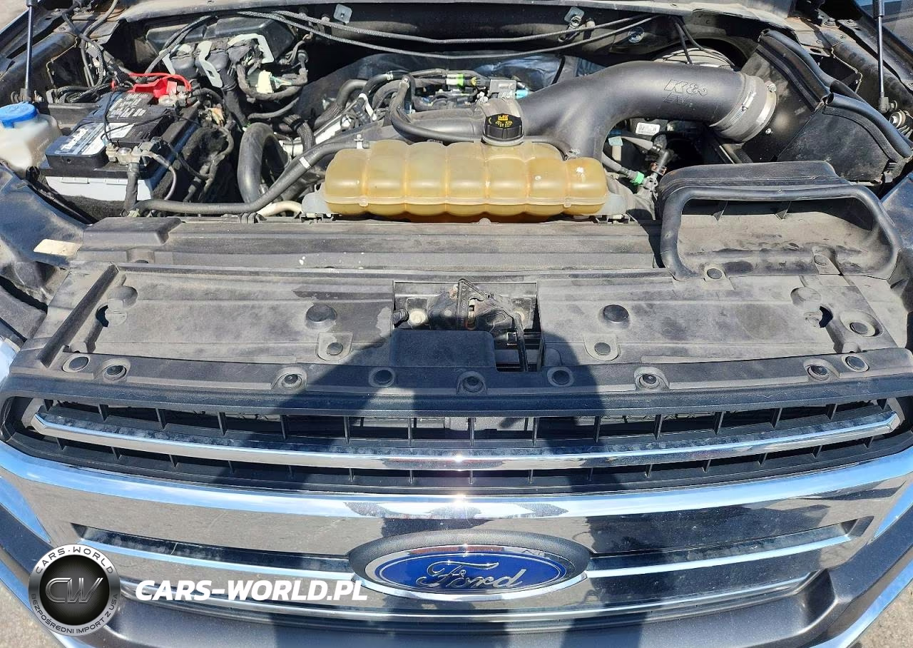 2019 Ford F150 Supercrew VIN:1FTEW1CP5KKF30605 - 11