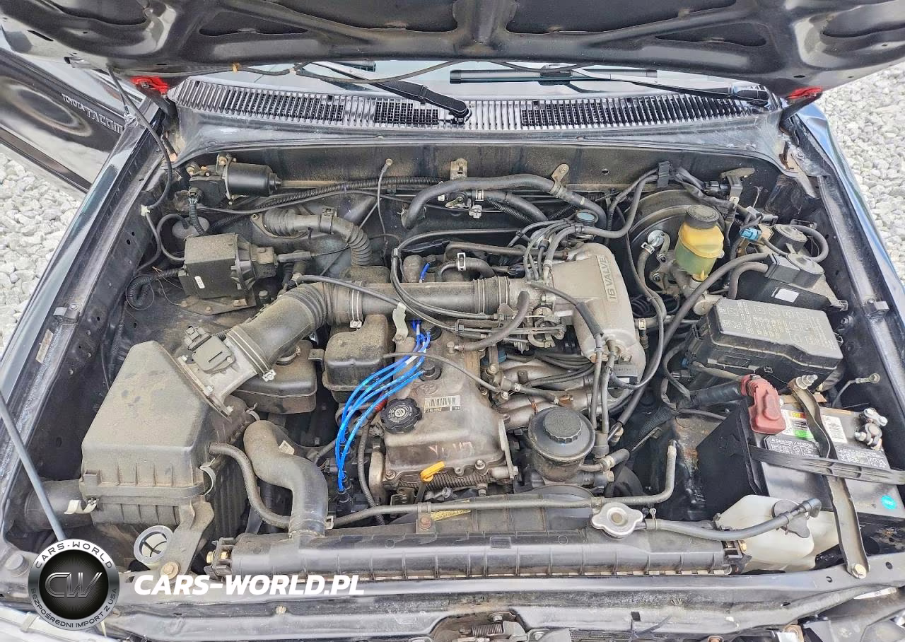 1998 Toyota Tacoma Base VIN:4TANL42N0WZ093826 - 11