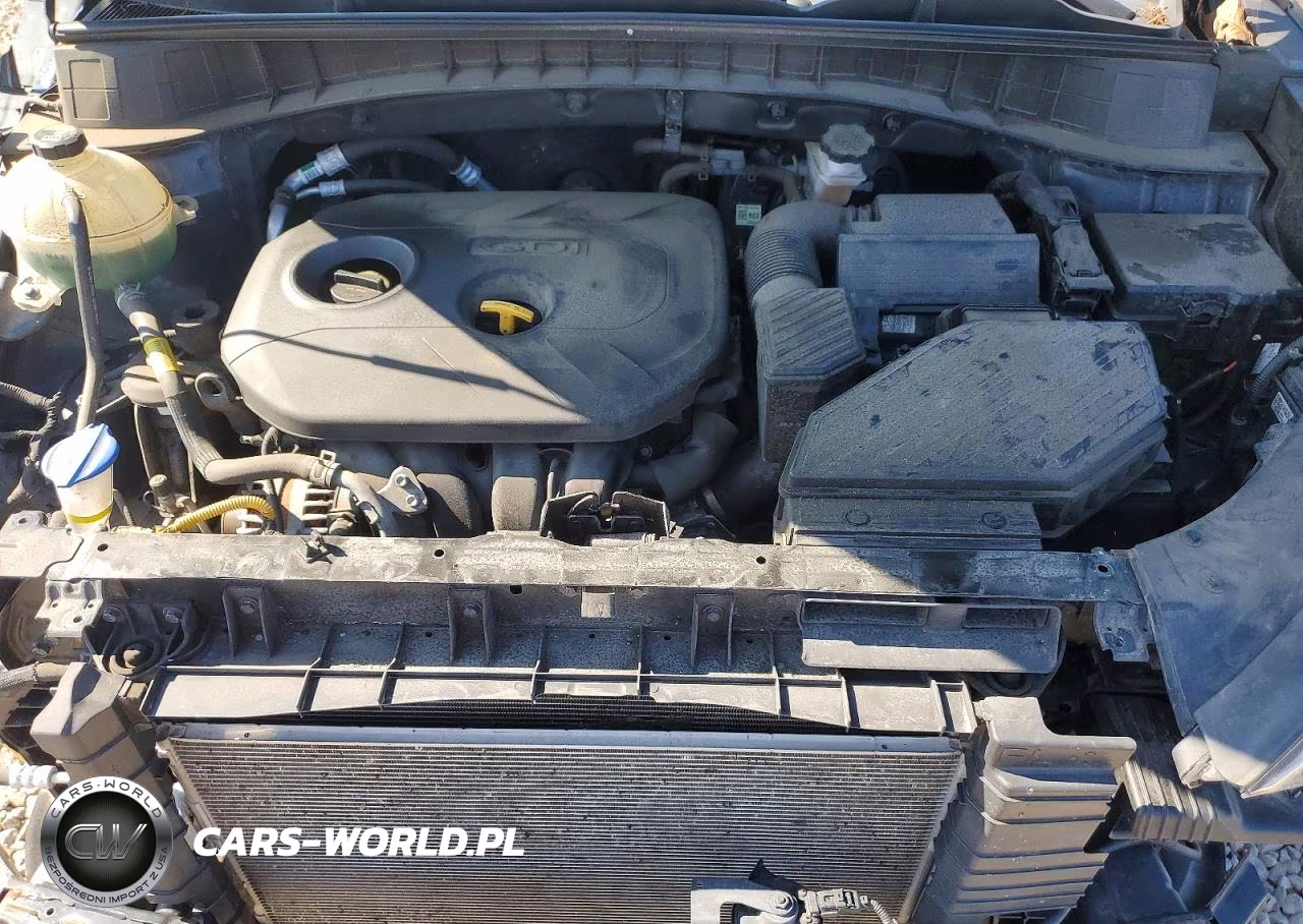 2020 Hyundai Tucson Se VIN:KM8J2CA4XLU156704 - 12