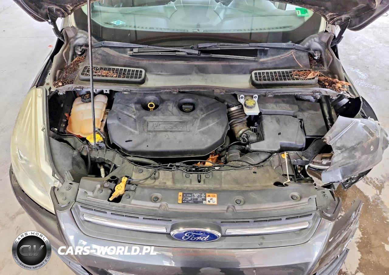 2016 Ford Escape Se VIN:1FMCU0G90GUC52352 - 12