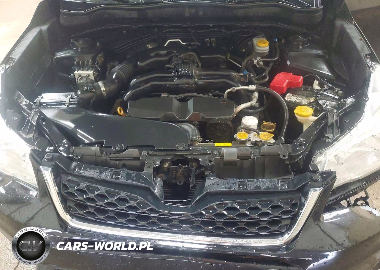 2016 Subaru Forester 2.5I VIN:JF2SJABC6GH493991 - 12