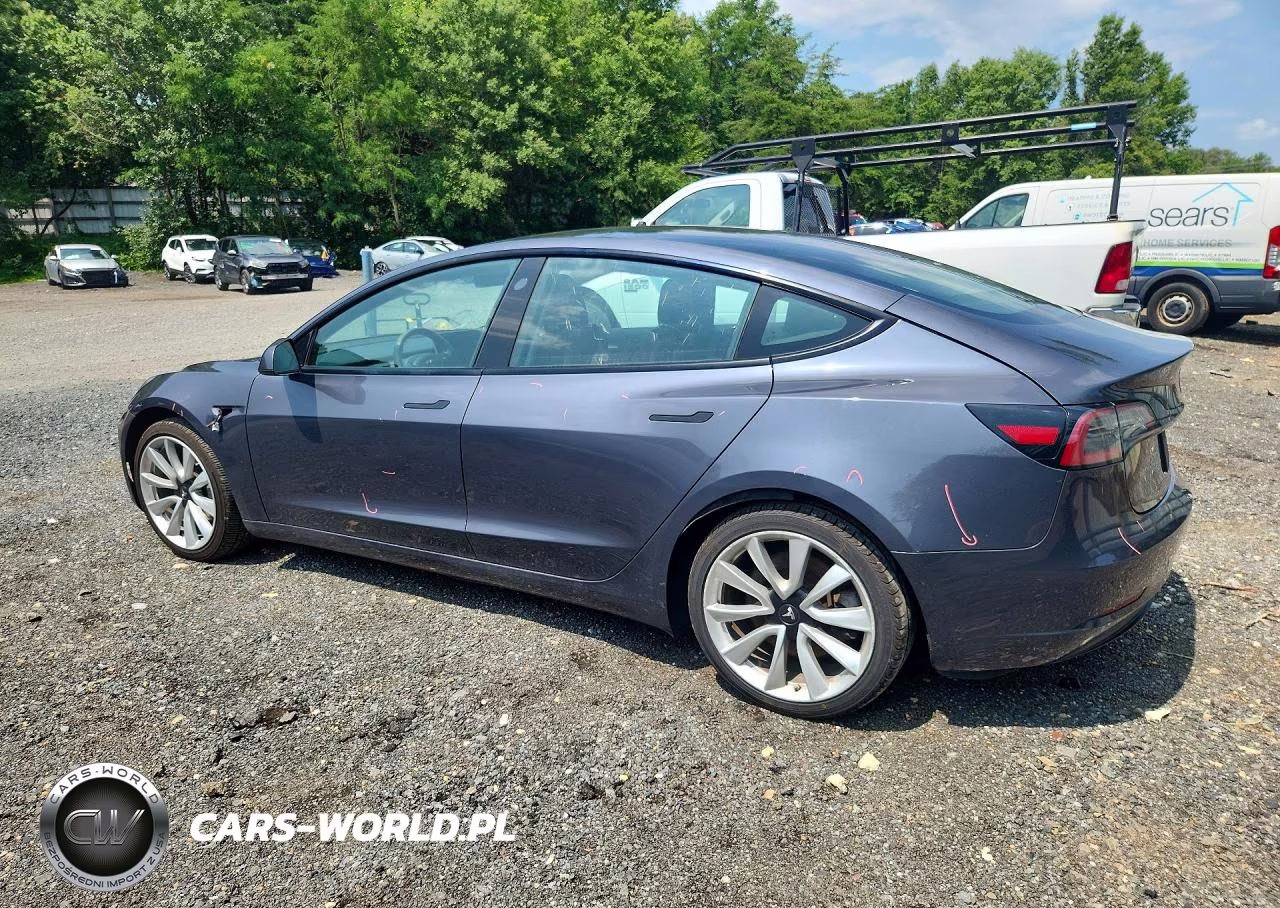 2023 Tesla Model 3 VIN:5YJ3E1EA6PF446798 - 2