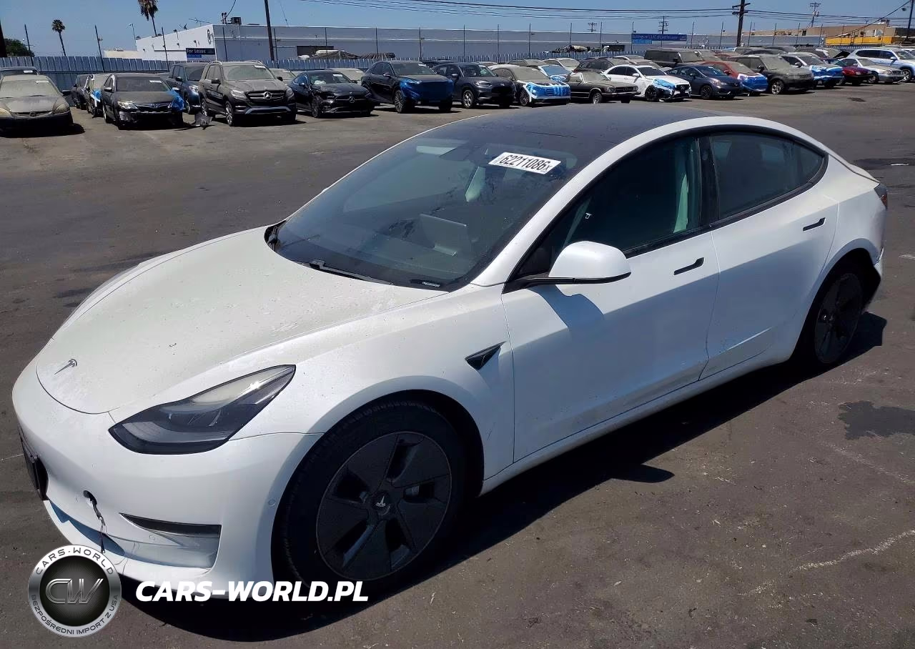 2021 Tesla Model 3 VIN:5YJ3E1EA2MF029027 - 1
