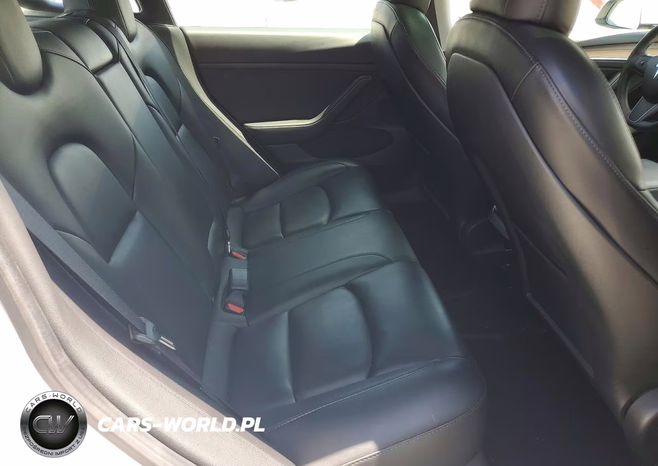 2021 Tesla Model 3 VIN:5YJ3E1EA2MF029027 - 10