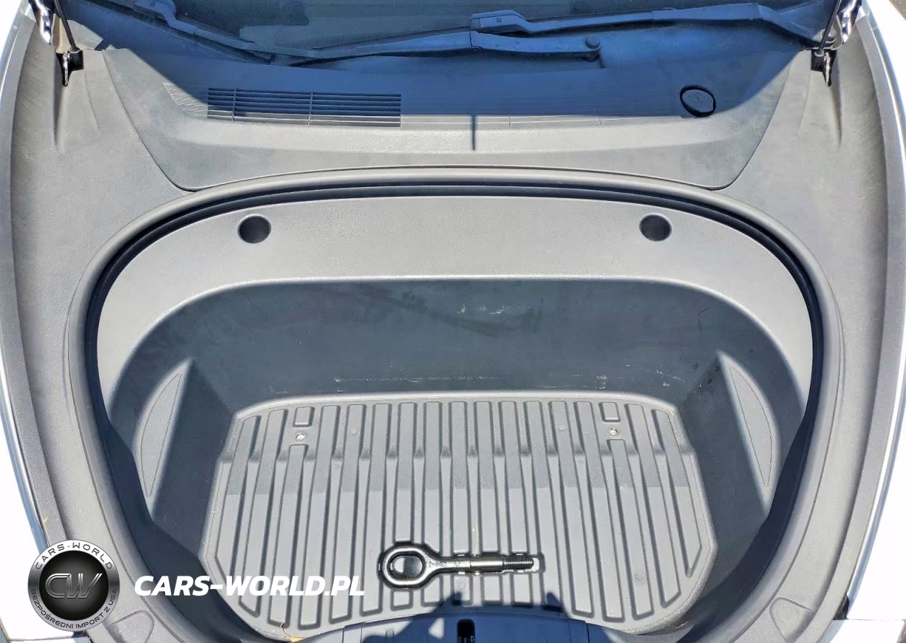 2021 Tesla Model 3 VIN:5YJ3E1EA2MF029027 - 11
