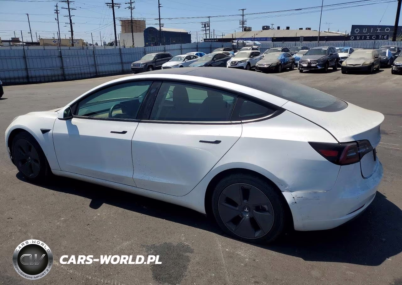 2021 Tesla Model 3 VIN:5YJ3E1EA2MF029027 - 2