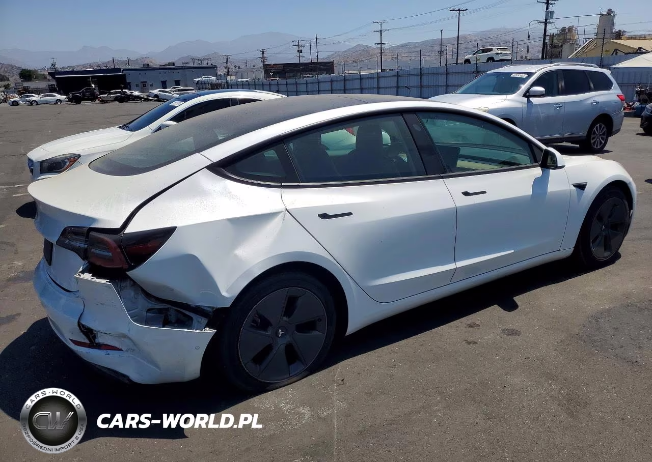 2021 Tesla Model 3 VIN:5YJ3E1EA2MF029027 - 3