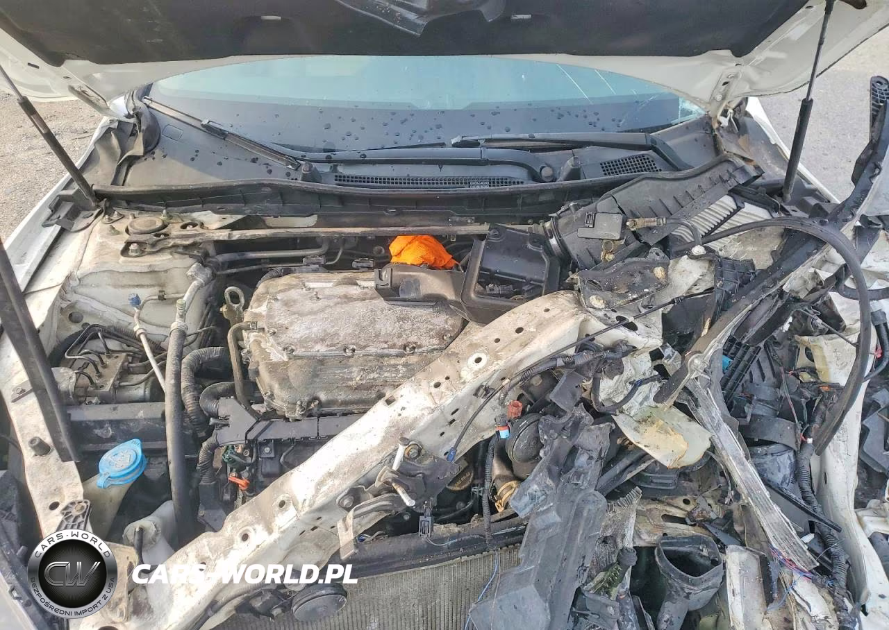 2013 Honda Accord Exl VIN:1HGCR3F80DA007288 - 11