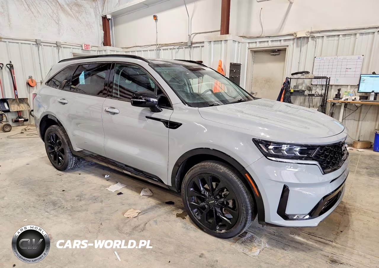 2022 Kia Sorento VIN:5XYRK4LF5NG120144 - 4