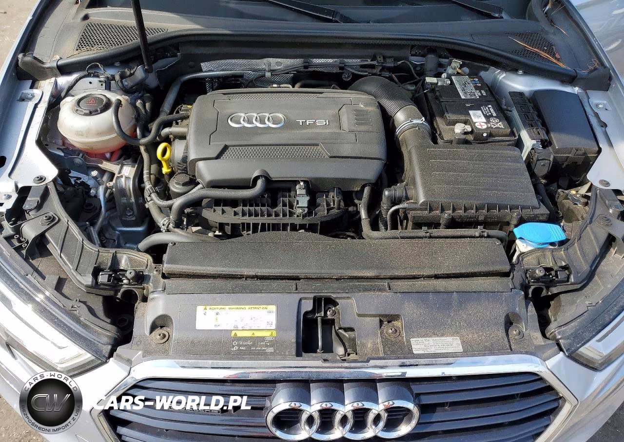 2019 Audi A3 Premium Plus VIN:WAUJEGFF7K1024462 - 11